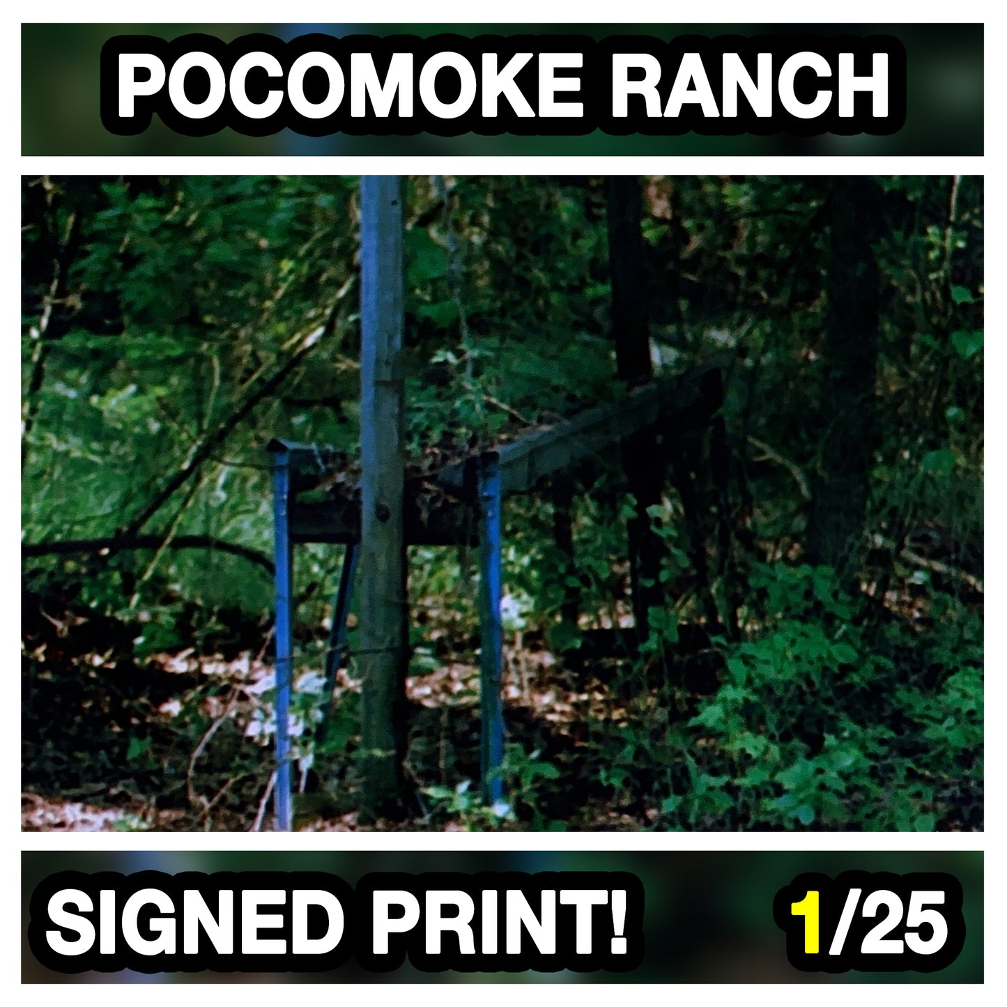 (1/25) Pocomoke Ranch Film Photo Print - (1) 4x6 with Note On Back, Si ...